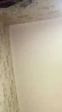 Lauren_Amabel
